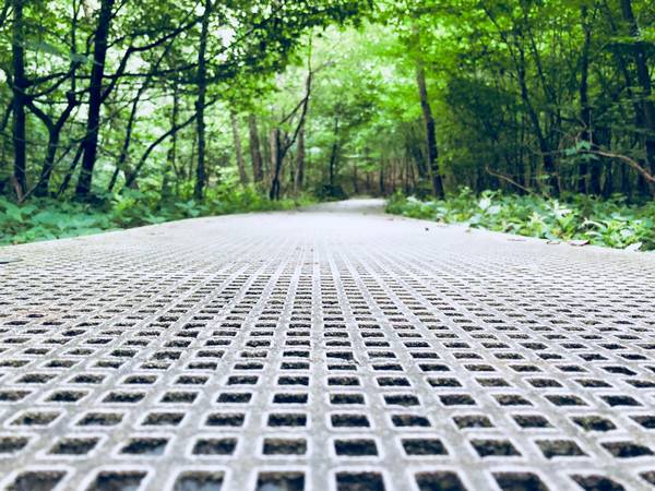 Laufweg aus grauen GFK-Rosten in einem Waldgebiet
