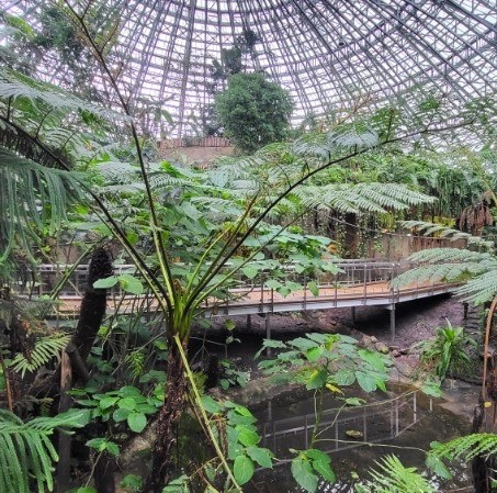 Tragstruktur einer Fußgängerbrücke